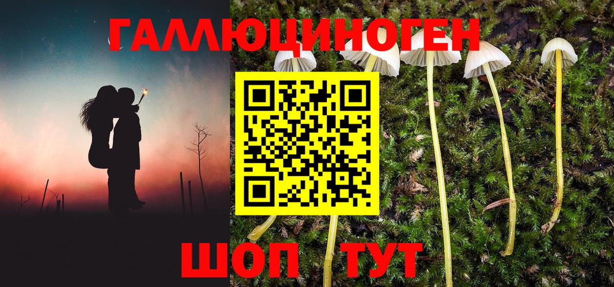 Алексин  Галлюциногенные грибы Magic Shrooms  Псилоцибиновые грибы GOLDEN TEACHER  Вход с VPN 