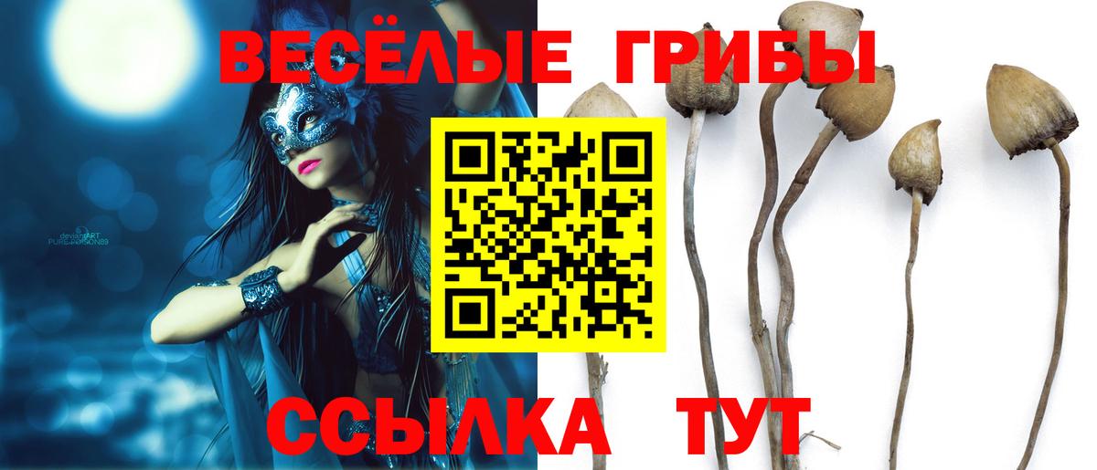 Галлюциногенные грибы Magic Shrooms Алексин